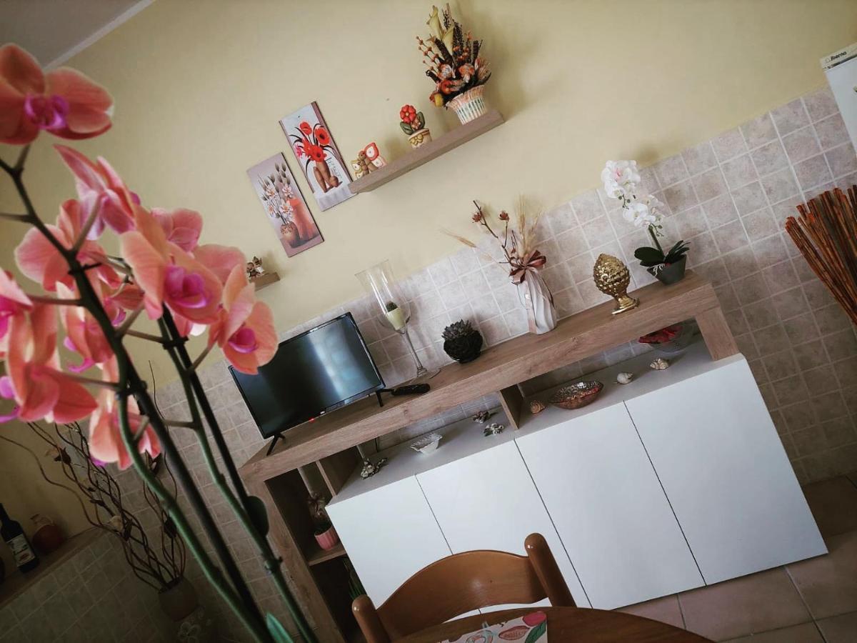 B&B Da Manuela Macchiagodena Dış mekan fotoğraf